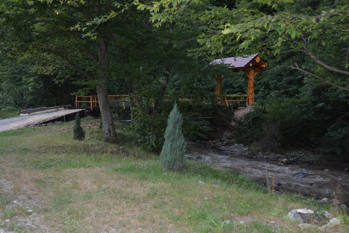 Photo 29