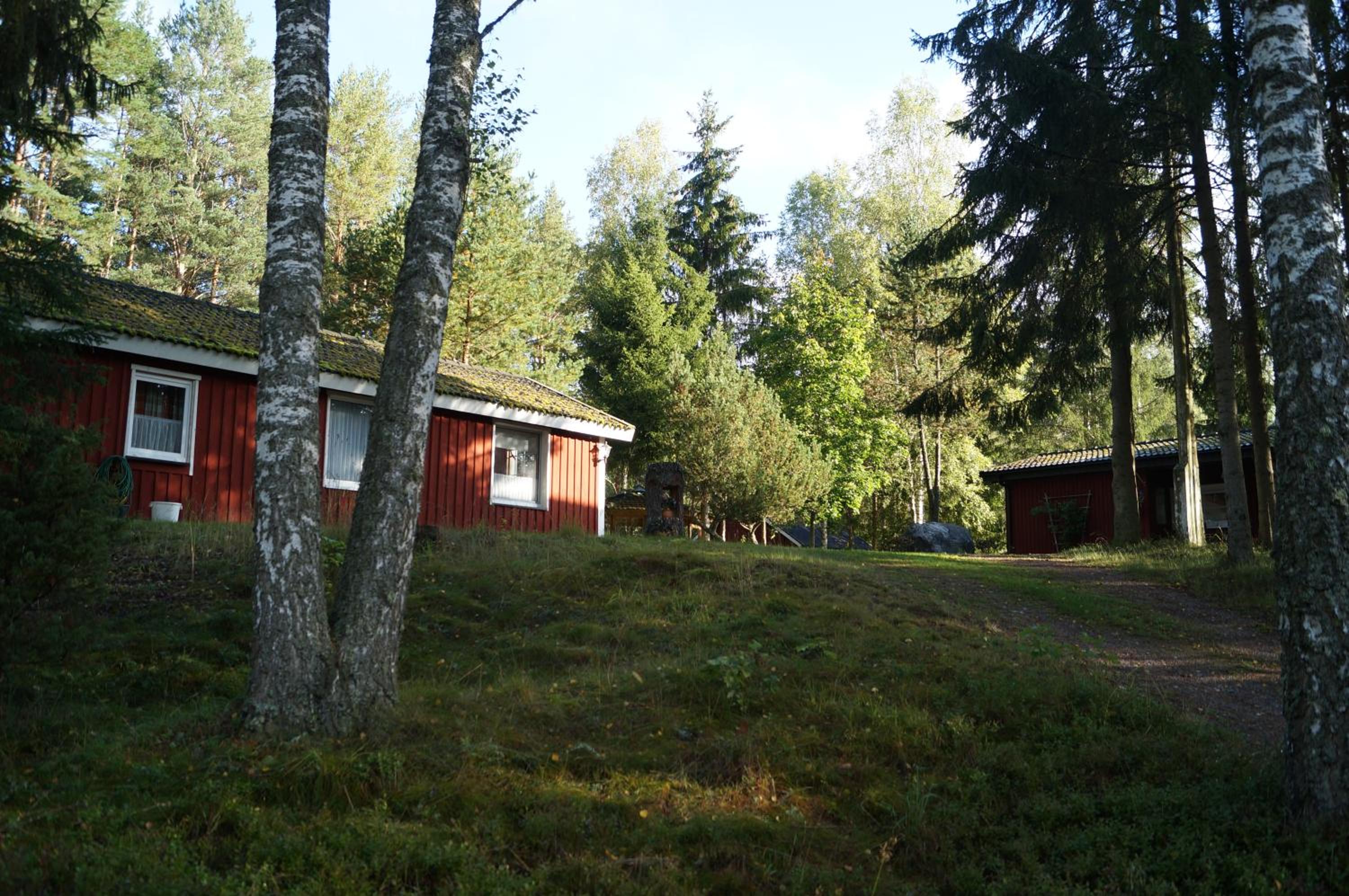 Photo 17
