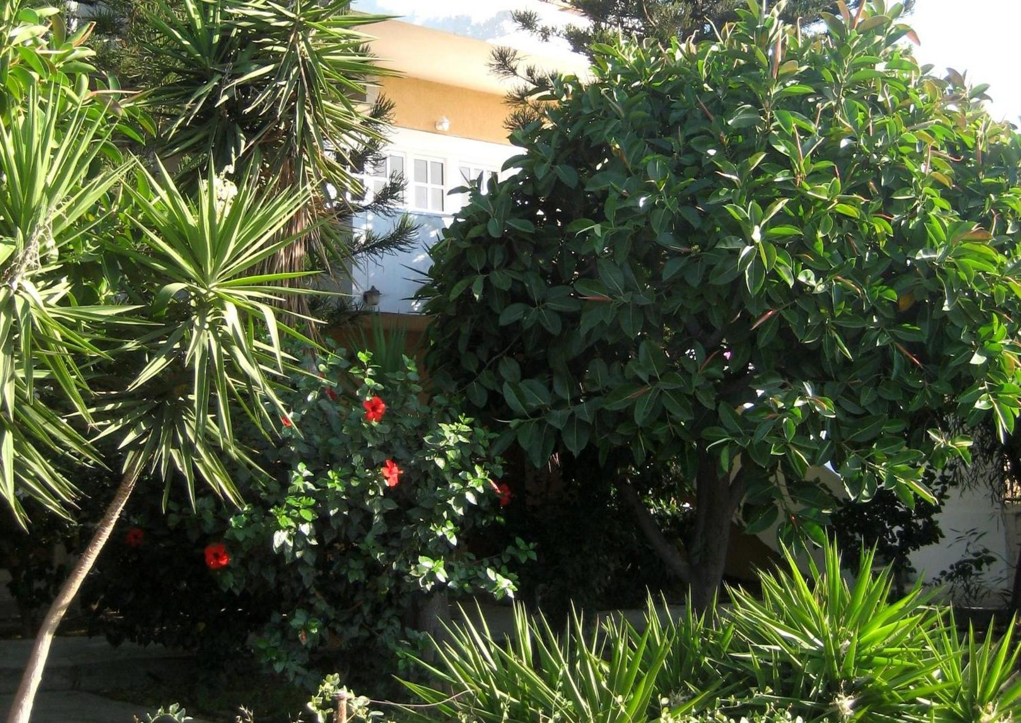 Corina Apartments , Corina 2-studios