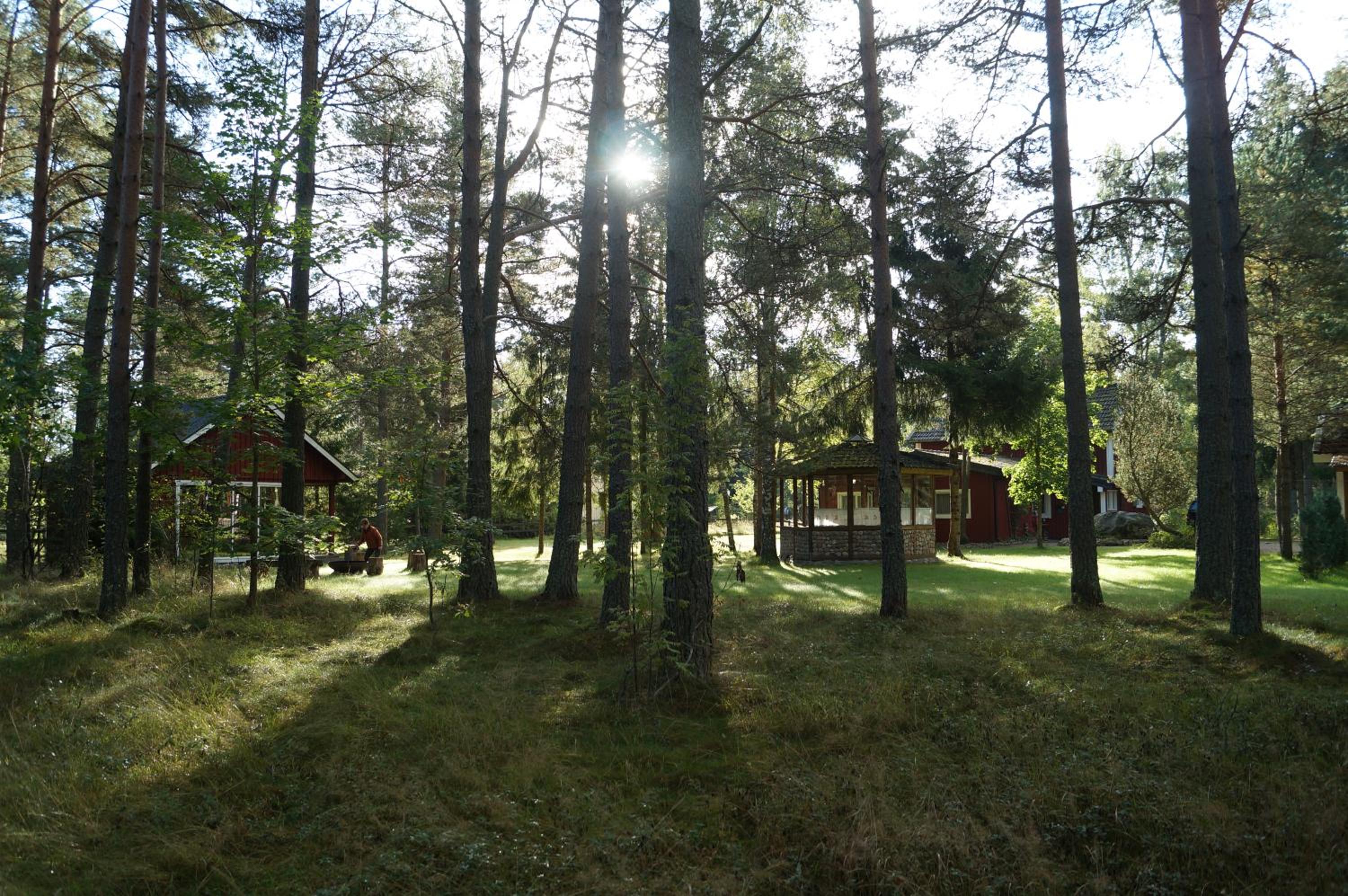 Photo 10