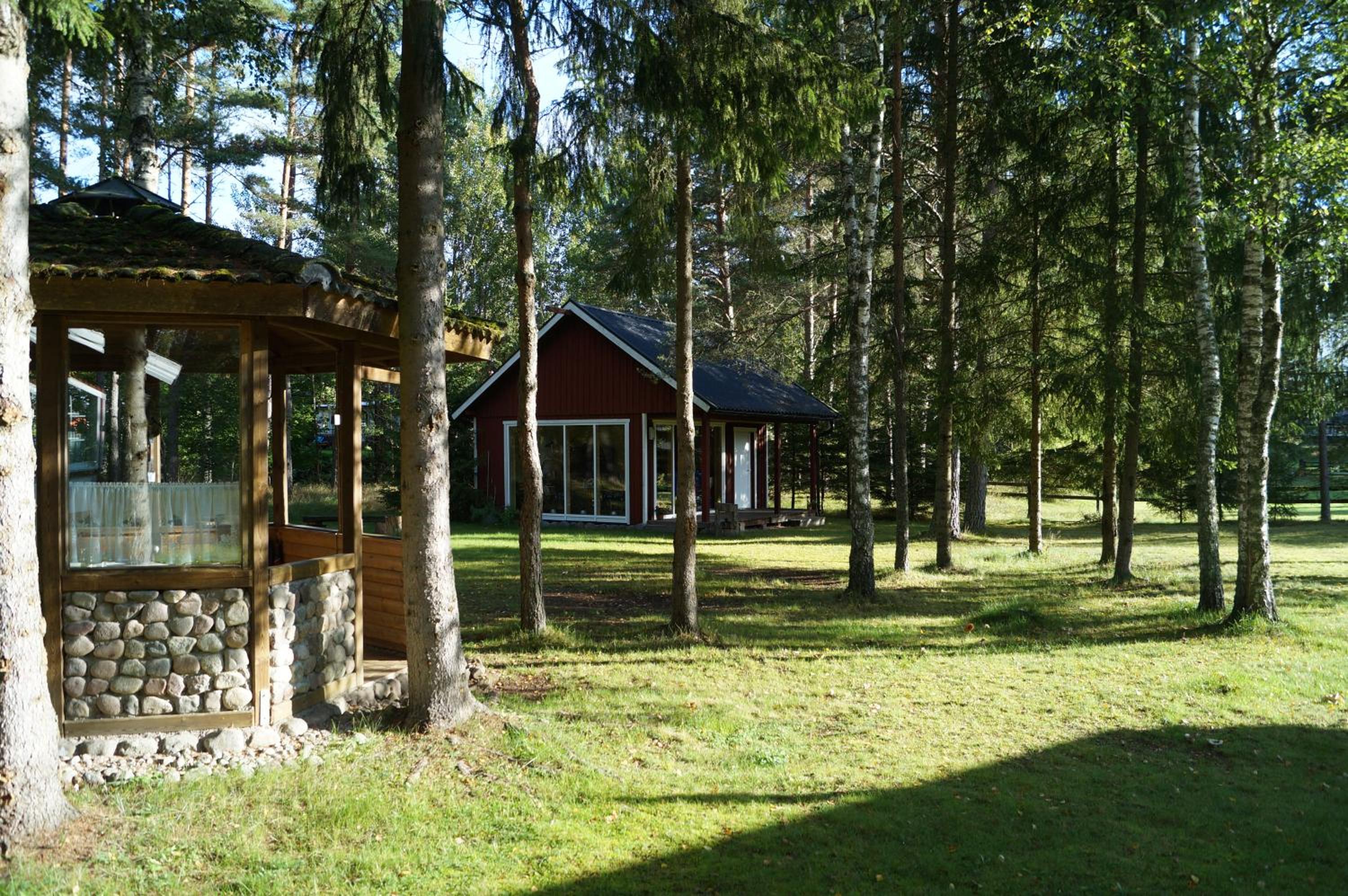 Gutzeit view 5