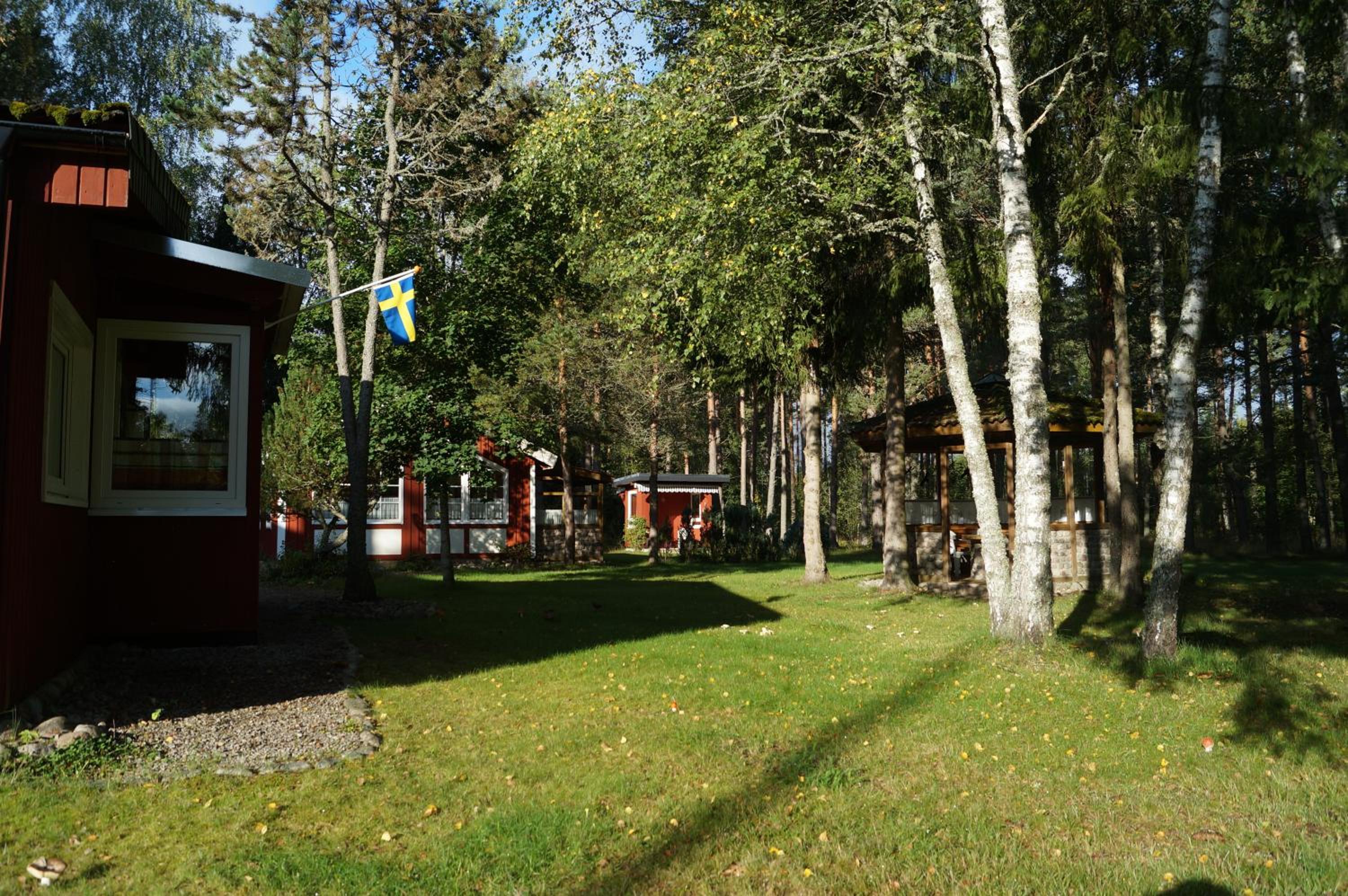 Photo 8