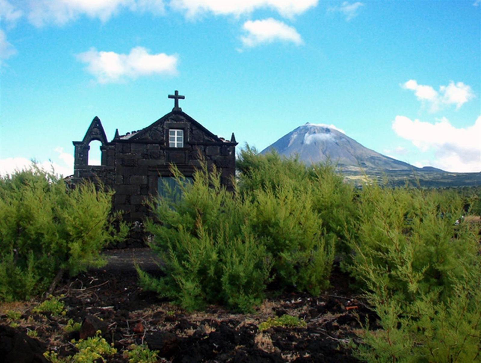 Photo 33