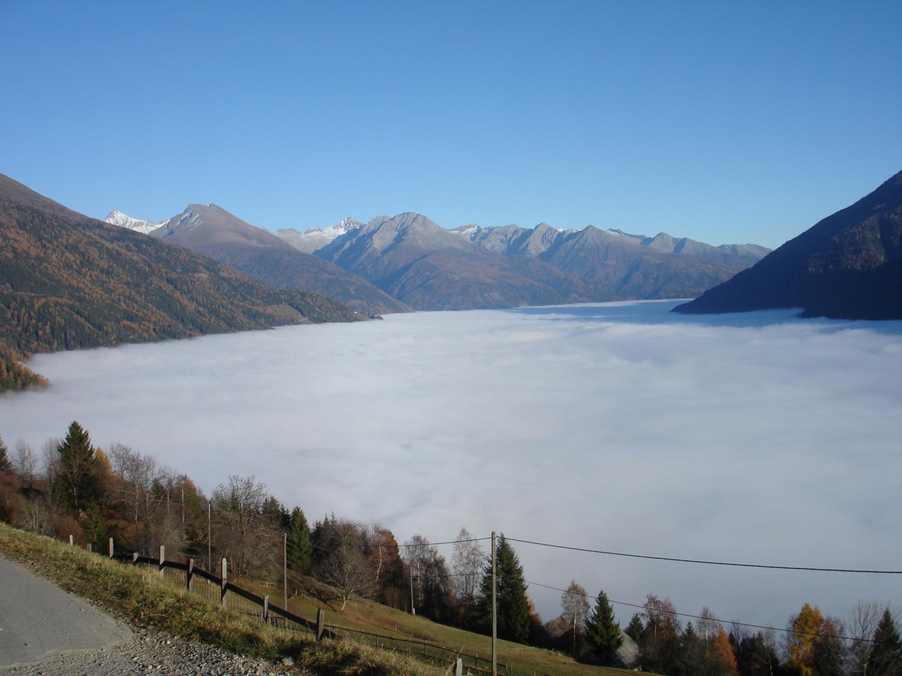 Photo 49