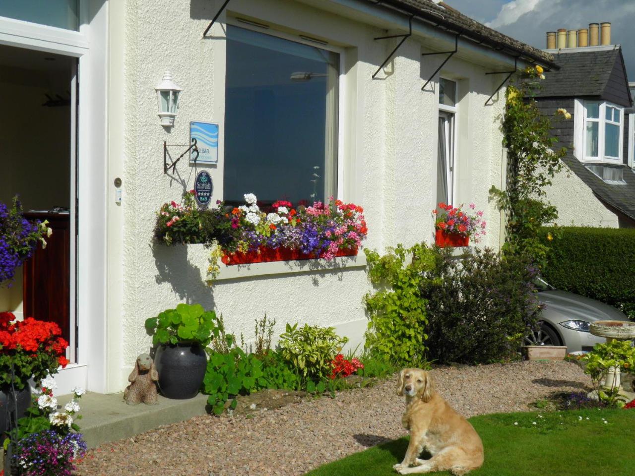 No12 Bed and Breakfast, St Andrews