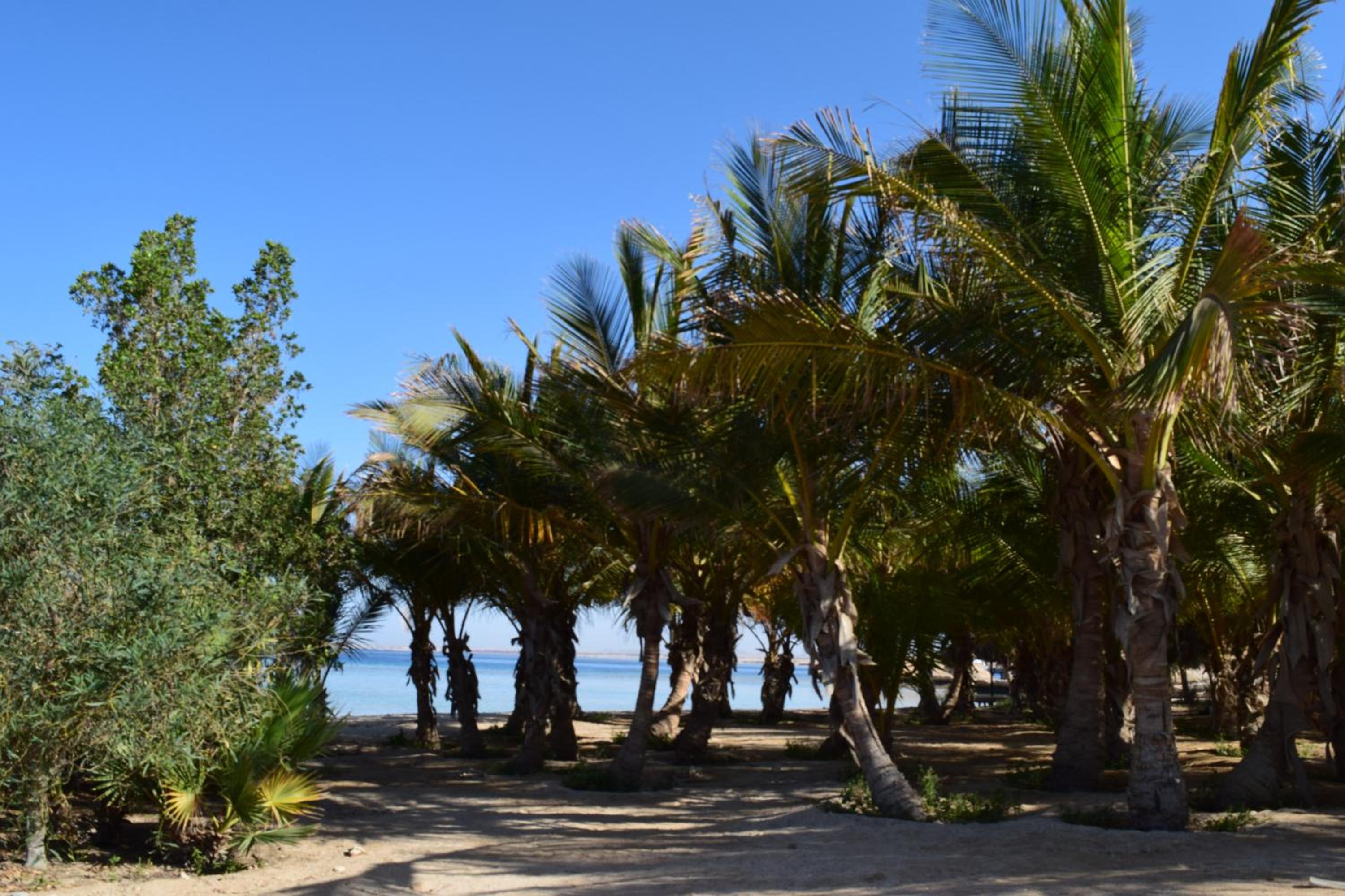 Mangrove Bay Resort