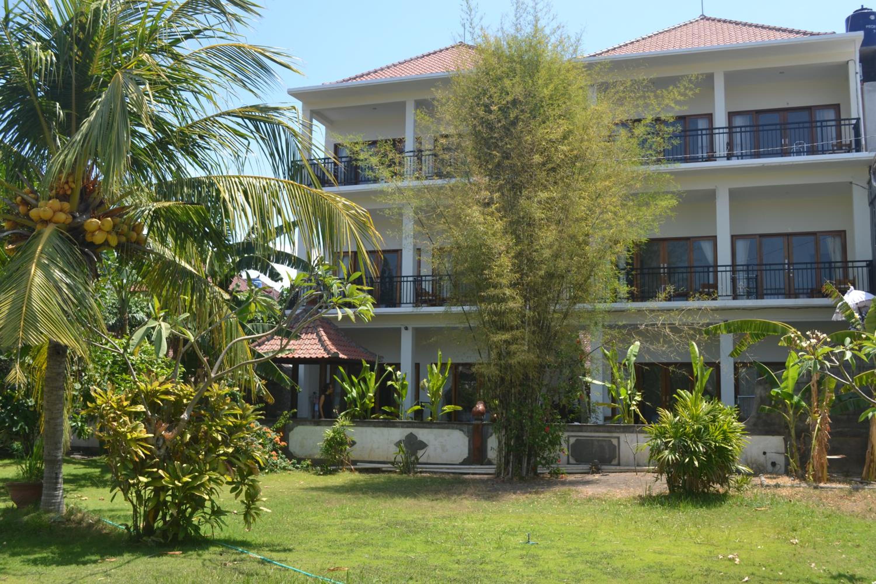 Photo 7