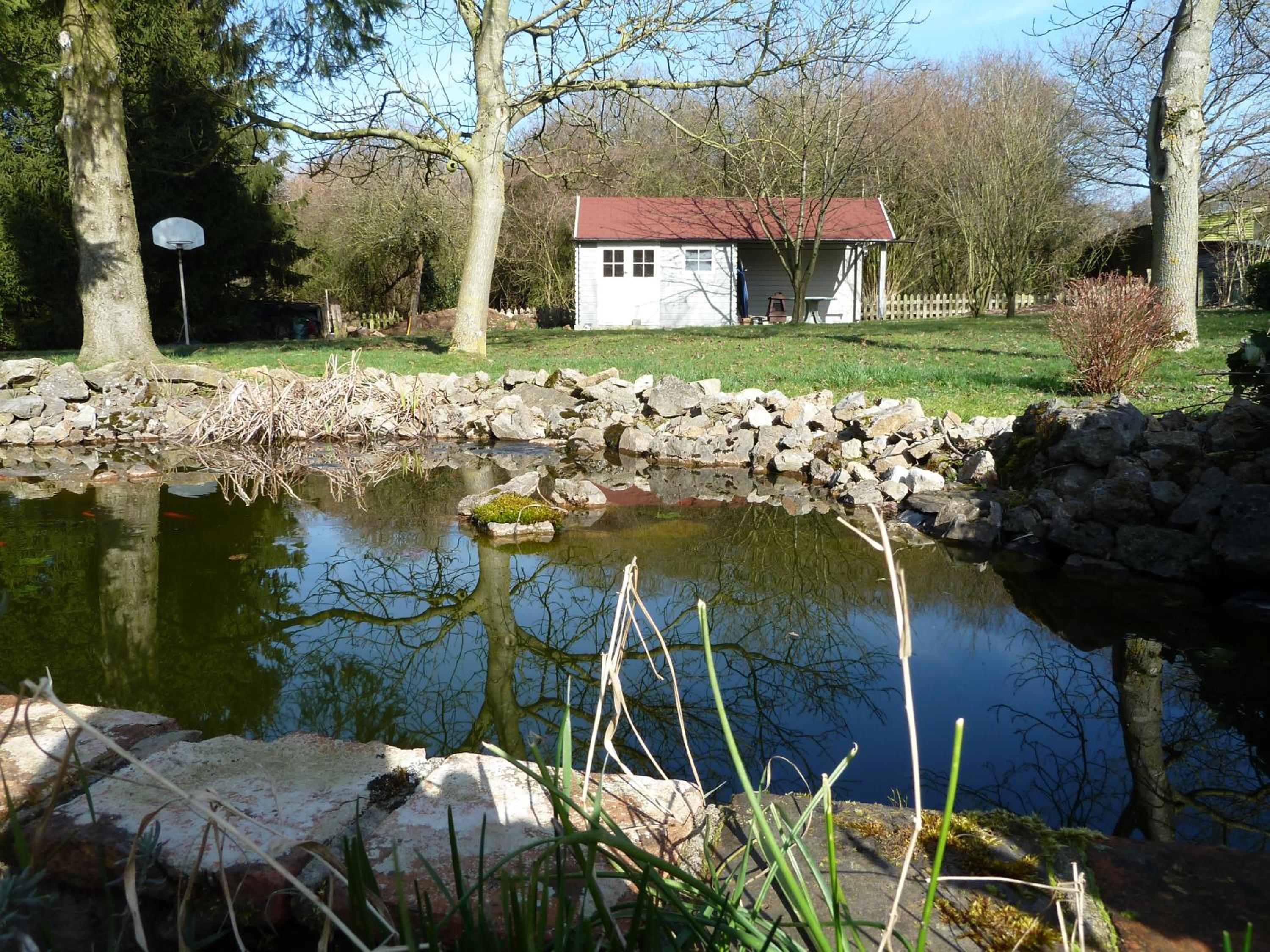 Photo 11