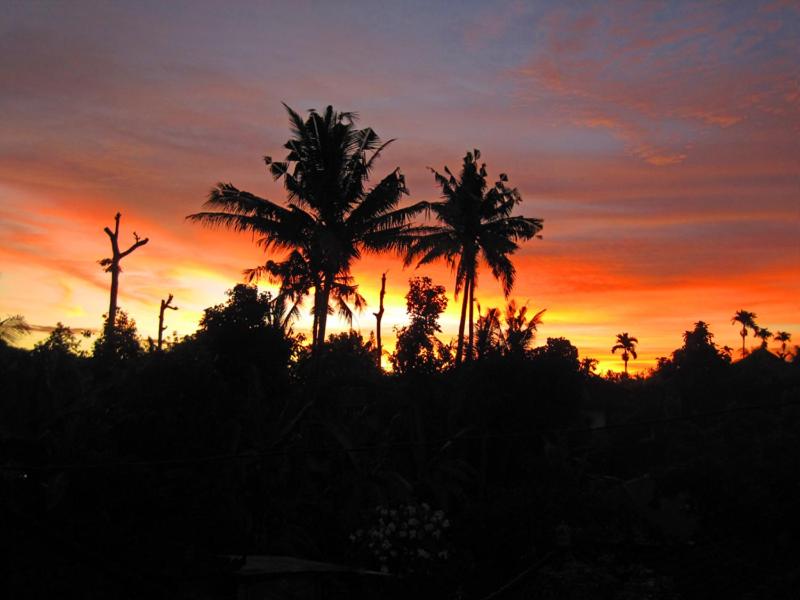 Nyoman Murjana Homestay view 4