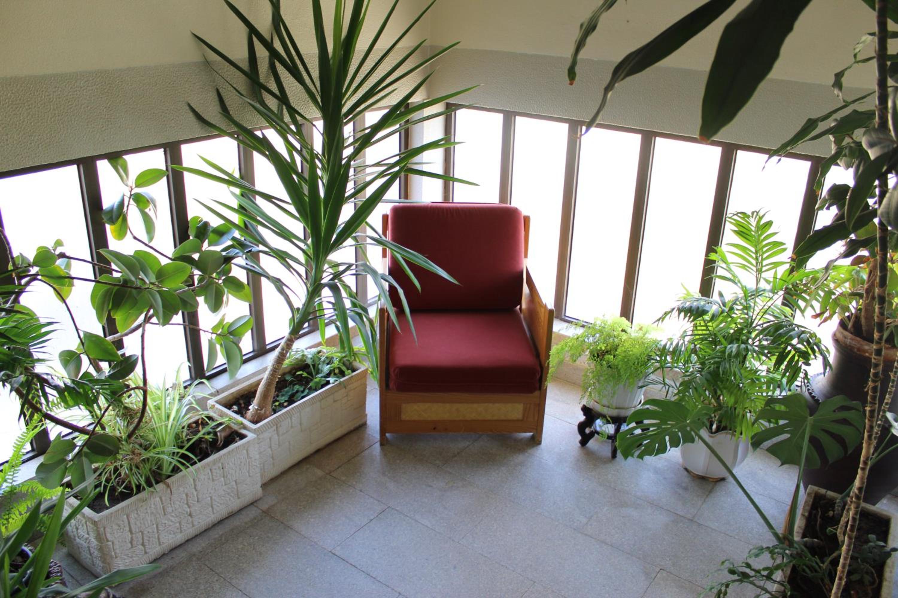 A Muralha view 2