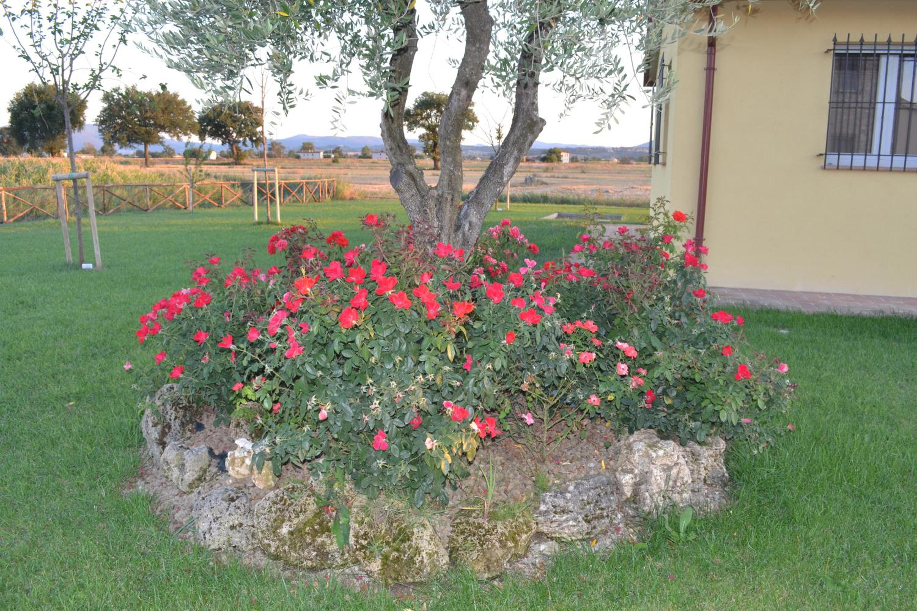 Il casale di famiglia view 4