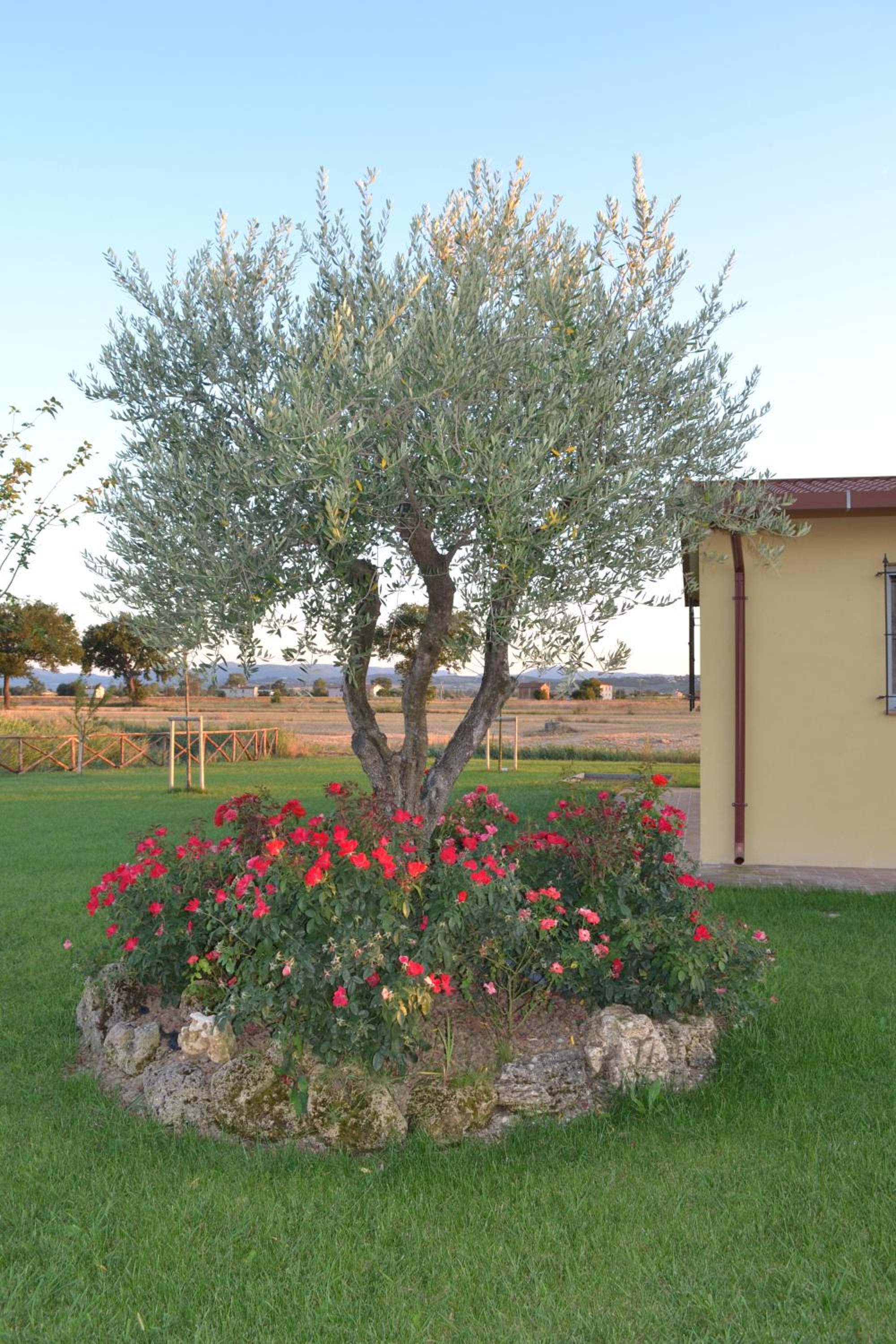 Il casale di famiglia view 5