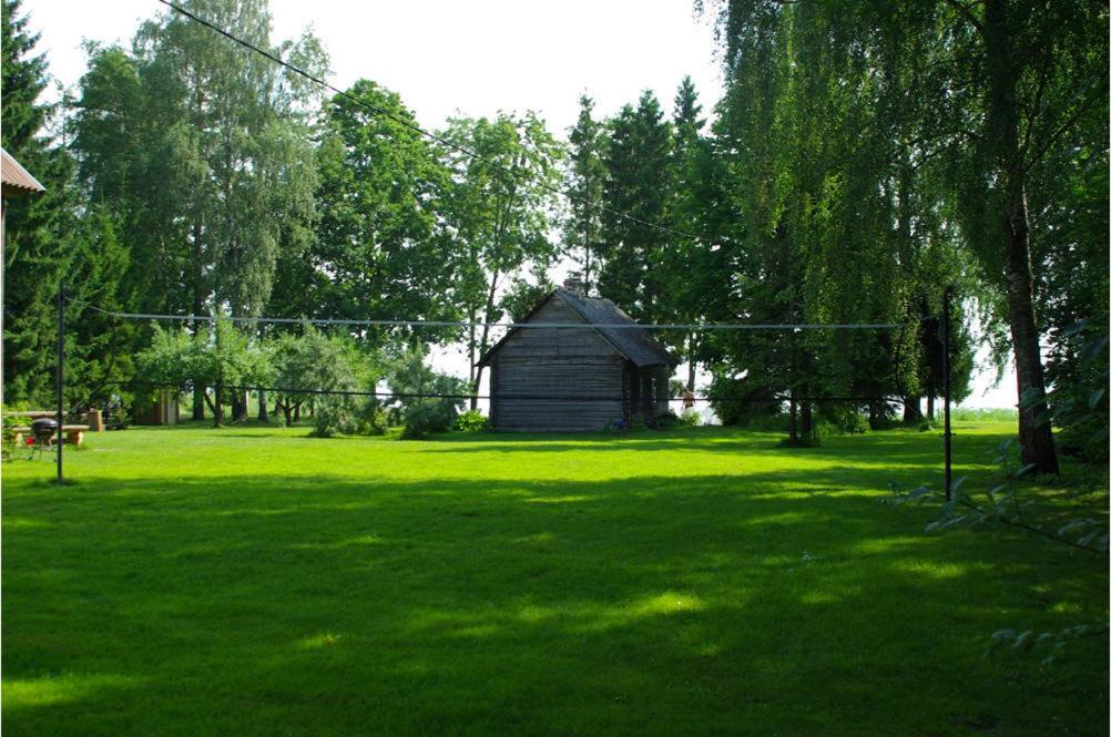 Photo 53