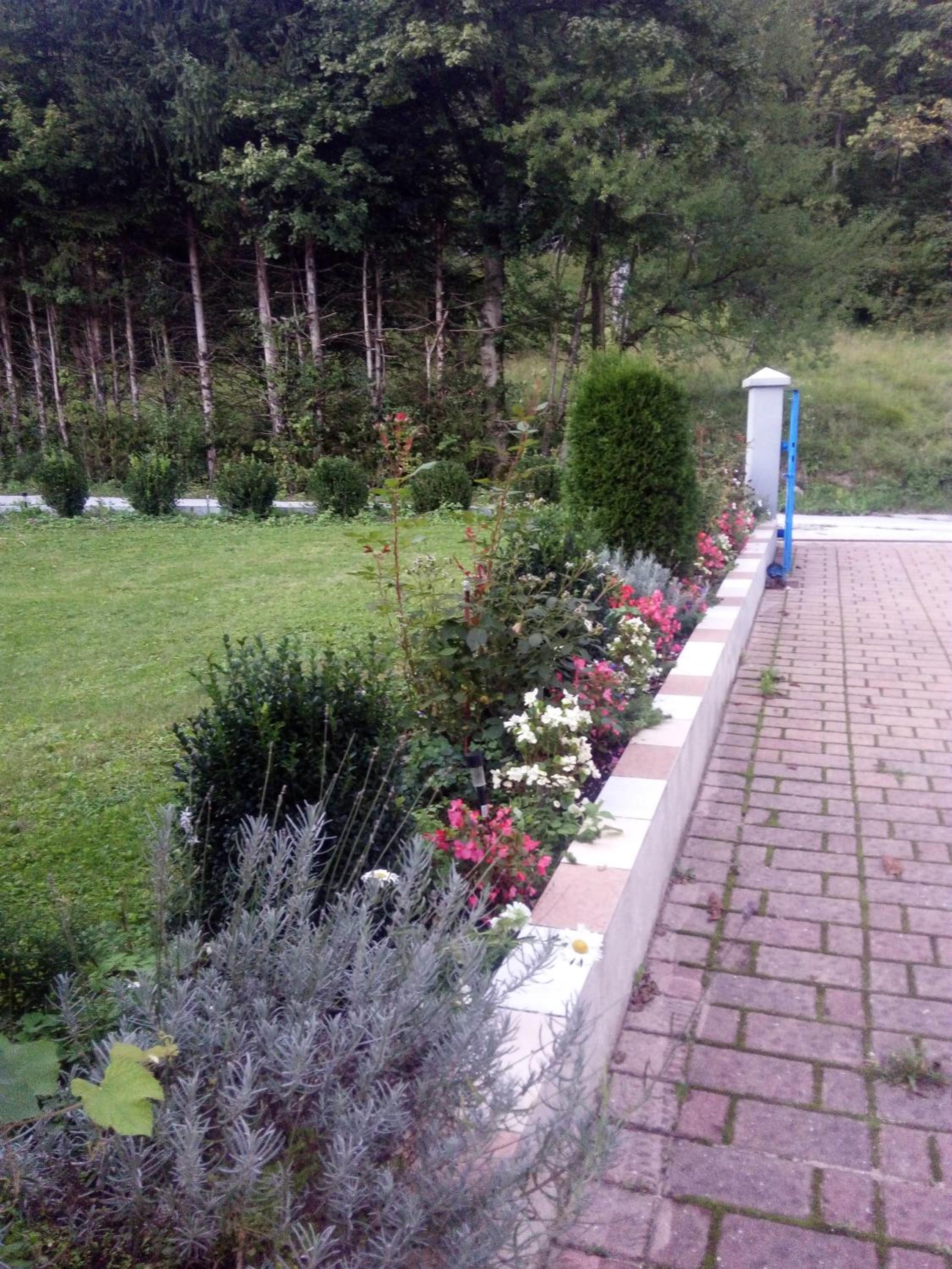 Photo 31