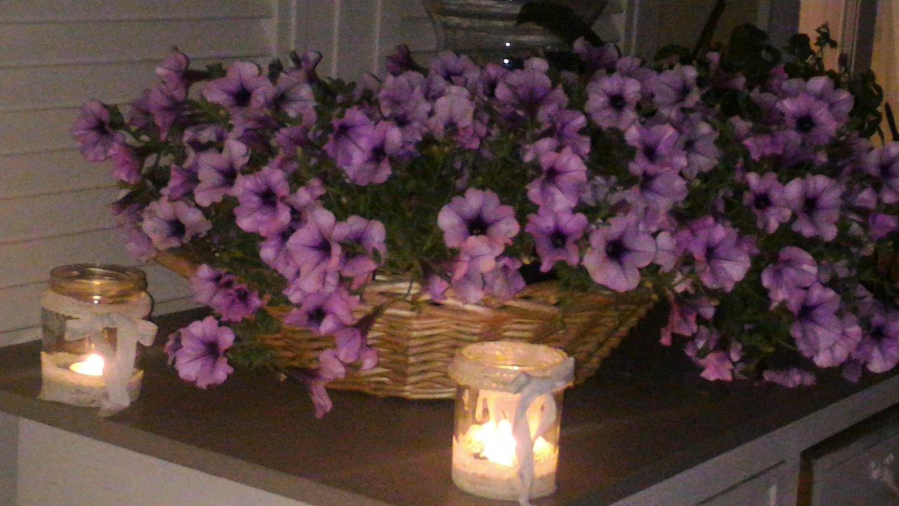 Dreams Guest House