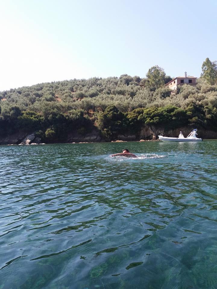 Theoxenia