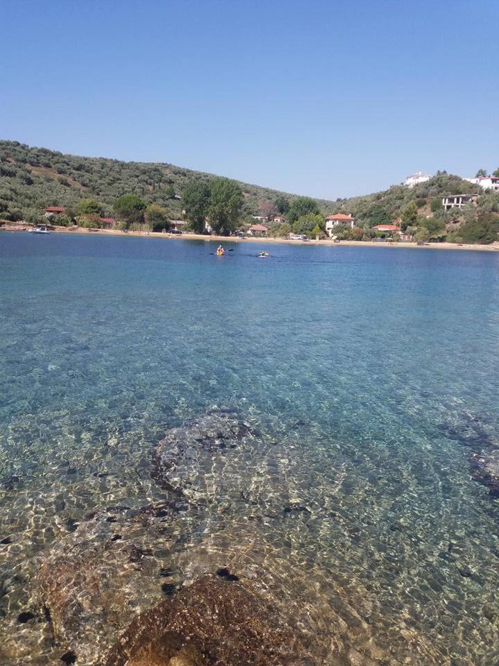 Theoxenia