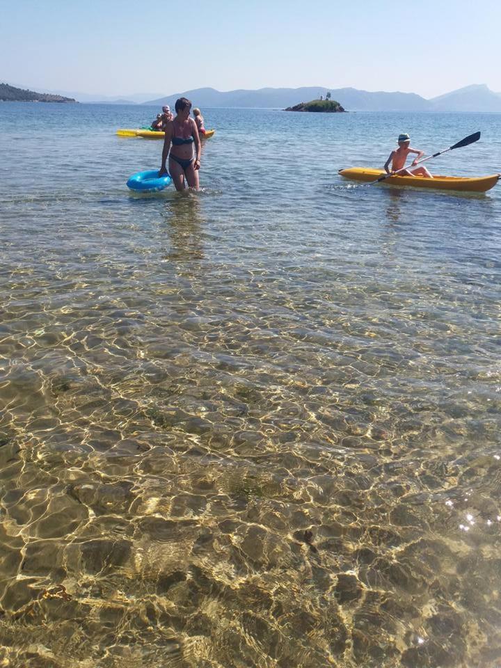 Theoxenia
