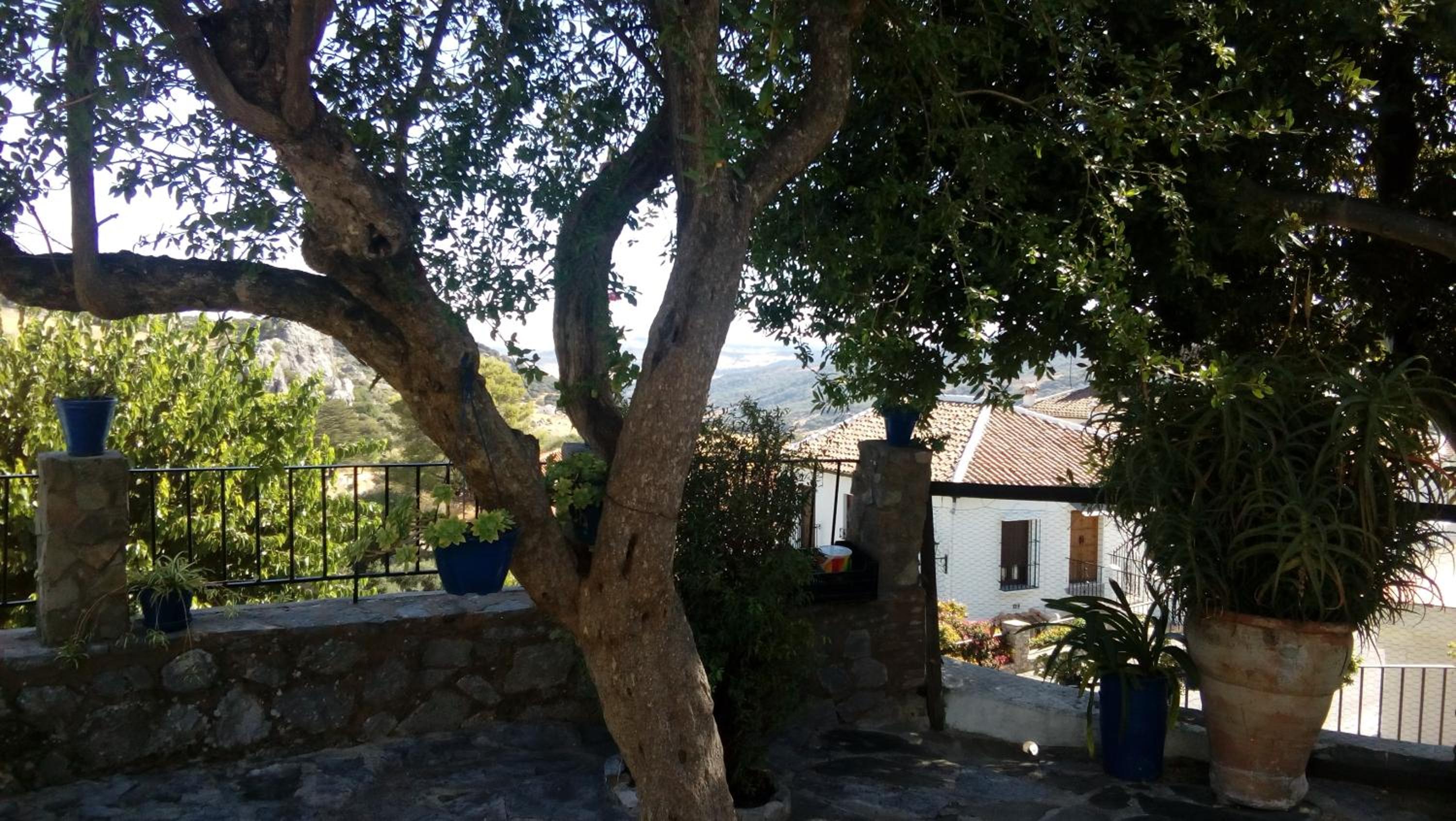Don Claudio