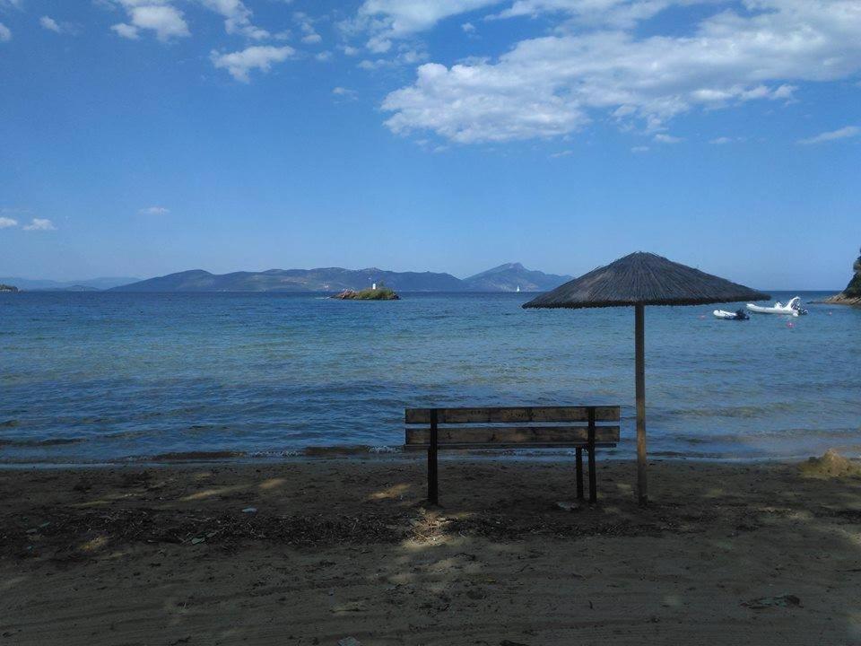 Theoxenia