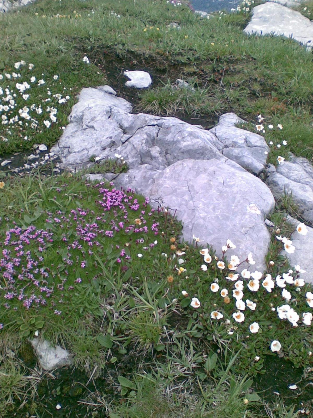 Stoffis Hütten