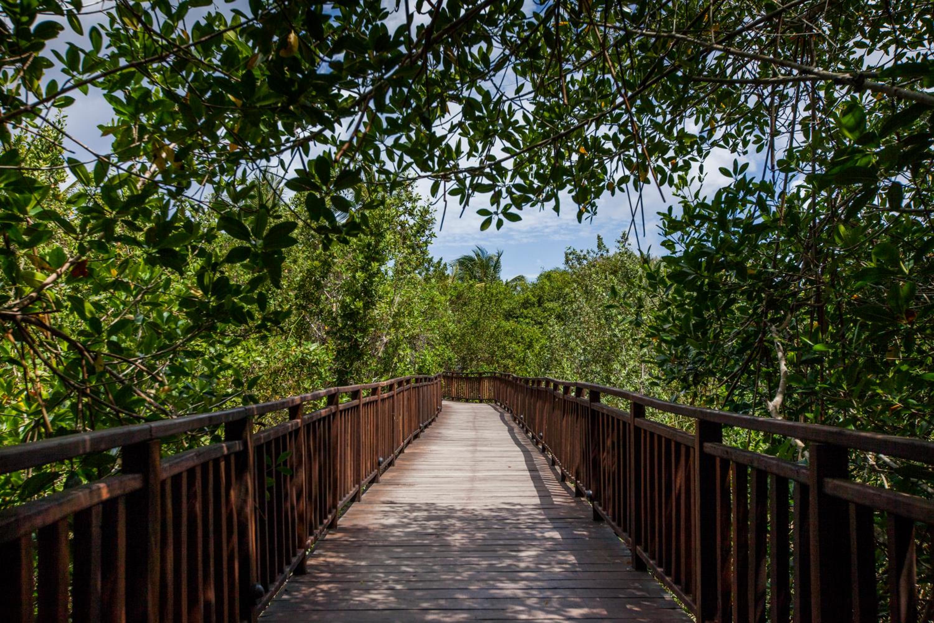 Occidental Cozumel - All Inclusive - Property Image 37