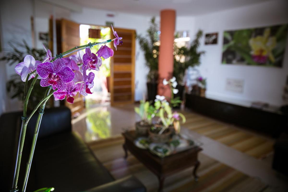 Orquídea Café