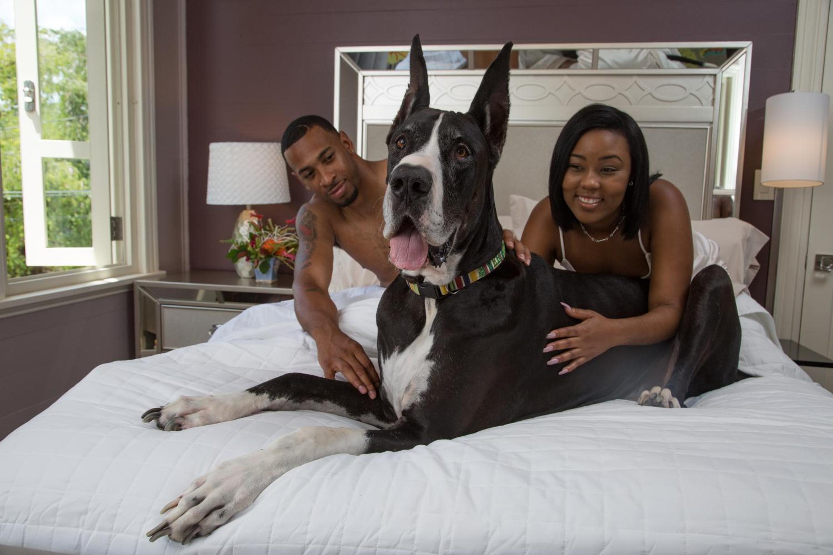 The Fred - Adults only Hotel