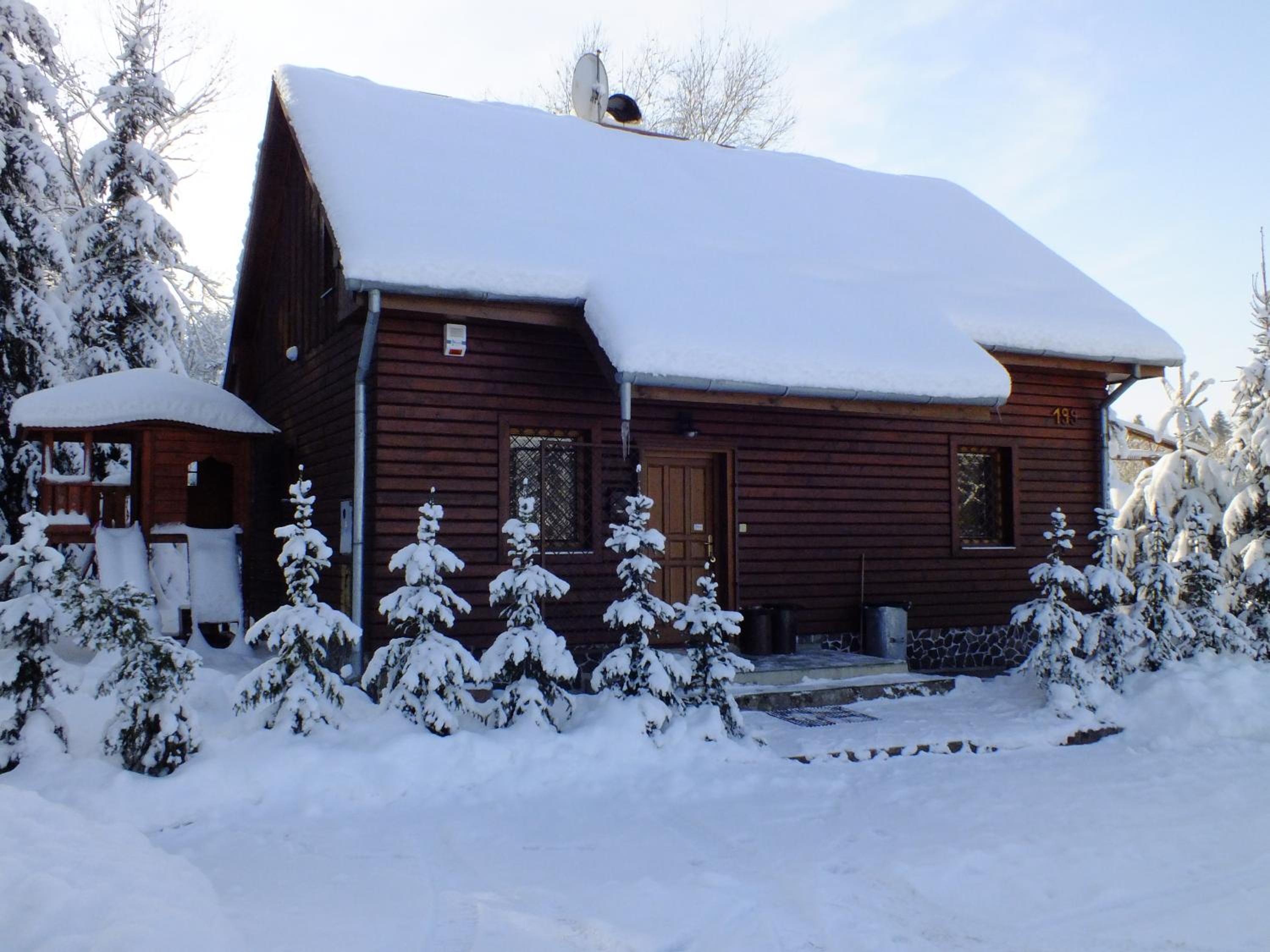 Photo 41