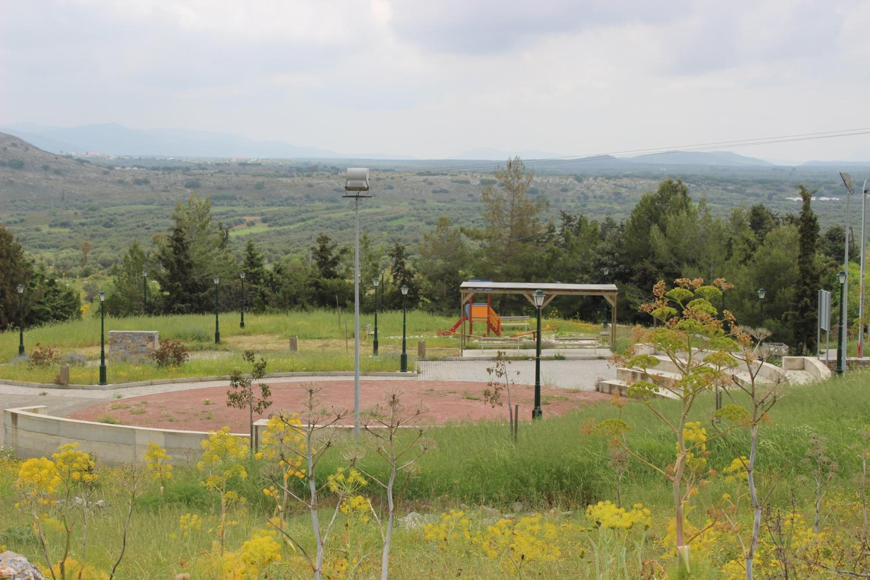 Photo 11