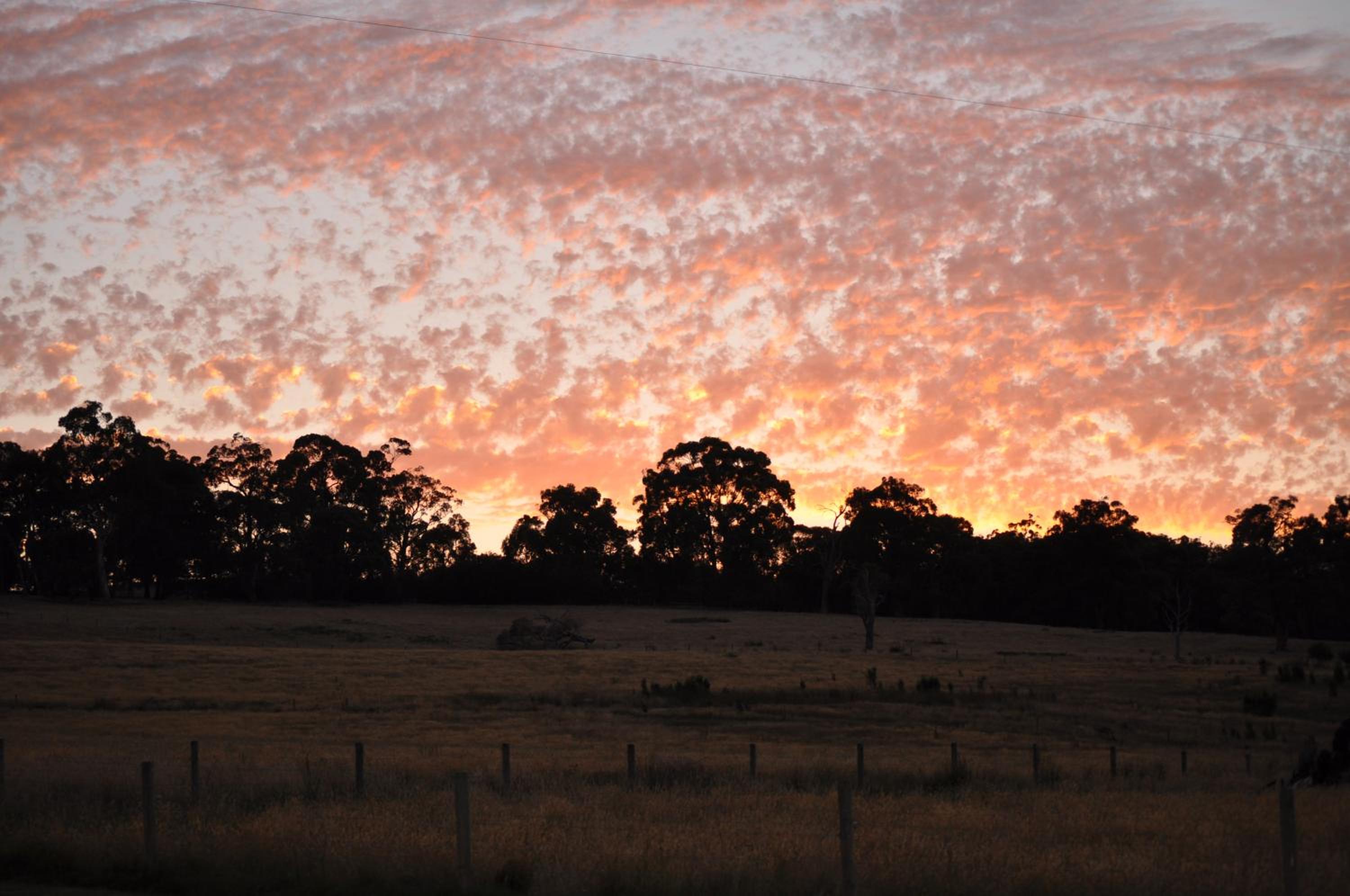 Tallawarra Homestead