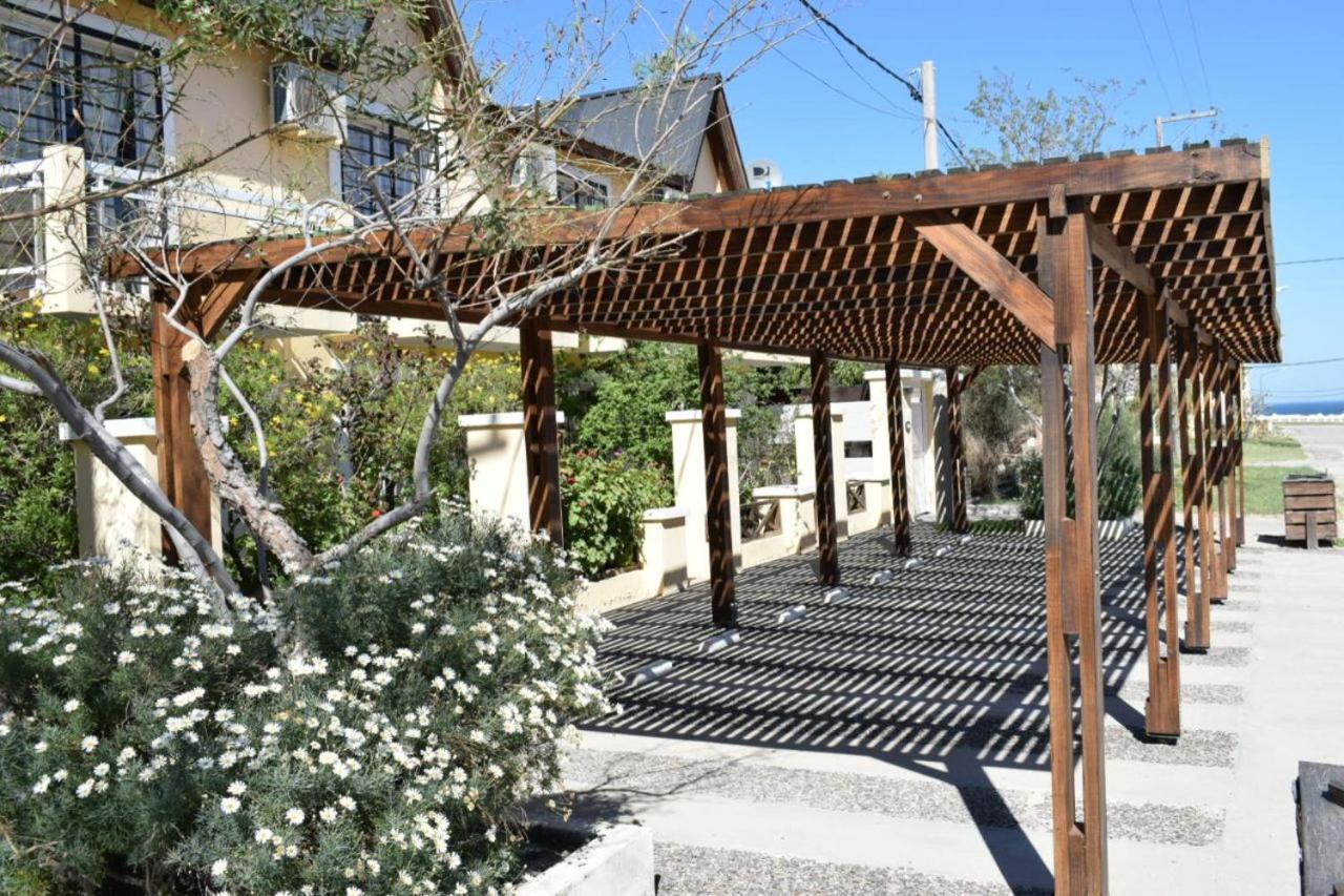 Hippocampus Casas de Mar