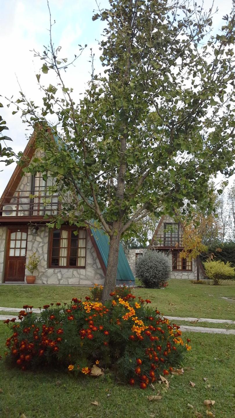 Las Encinas