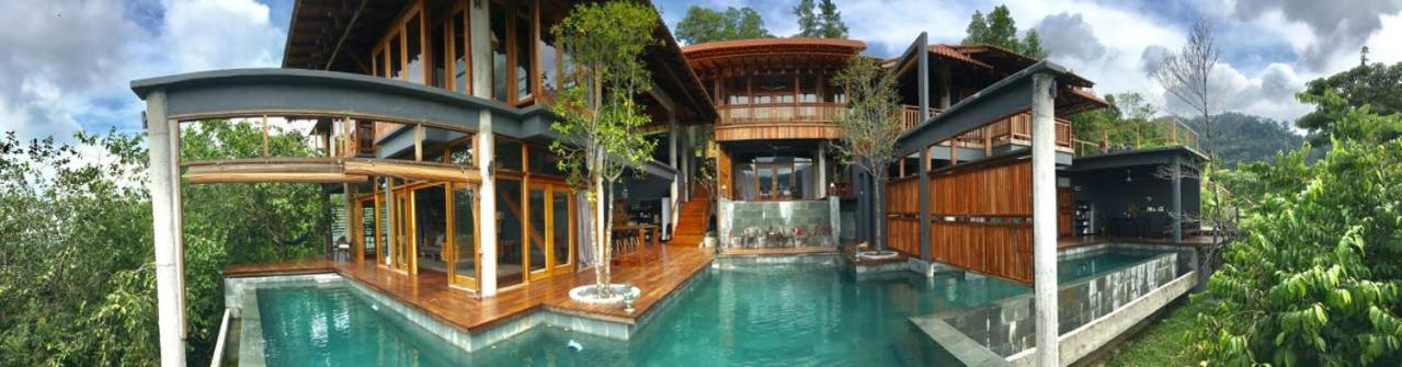 The Shorea