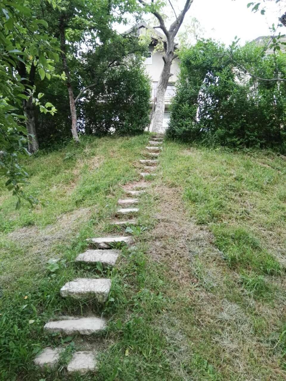 Photo 36