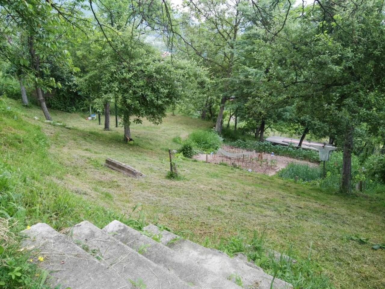 Photo 38