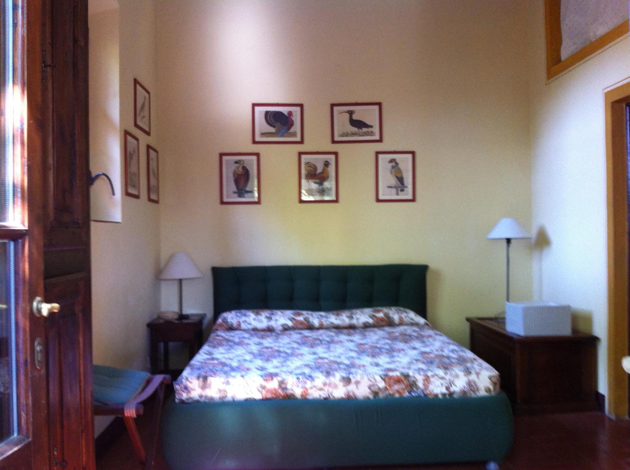 Photo 43