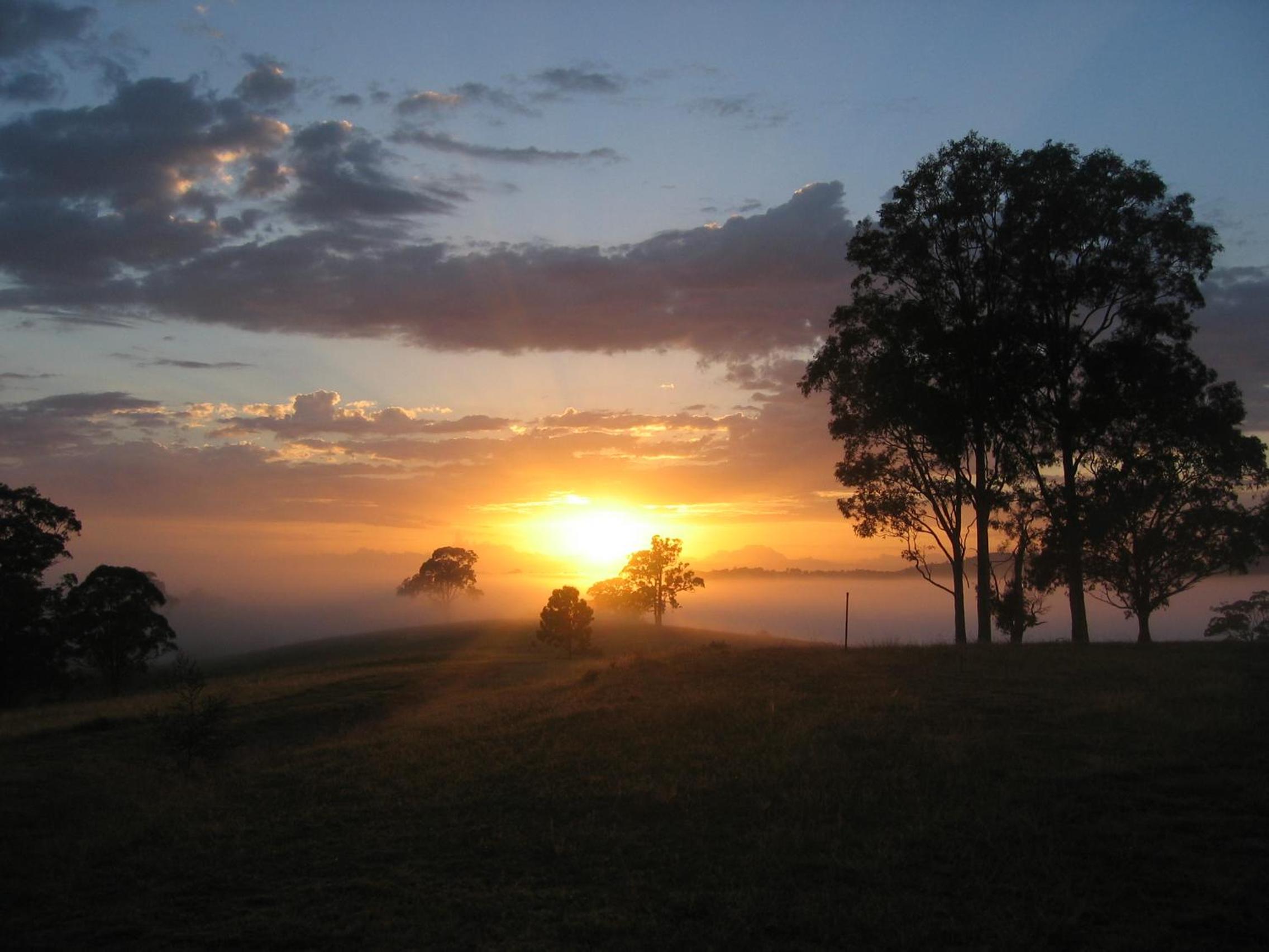BellbirdHill Bed & Breakfast