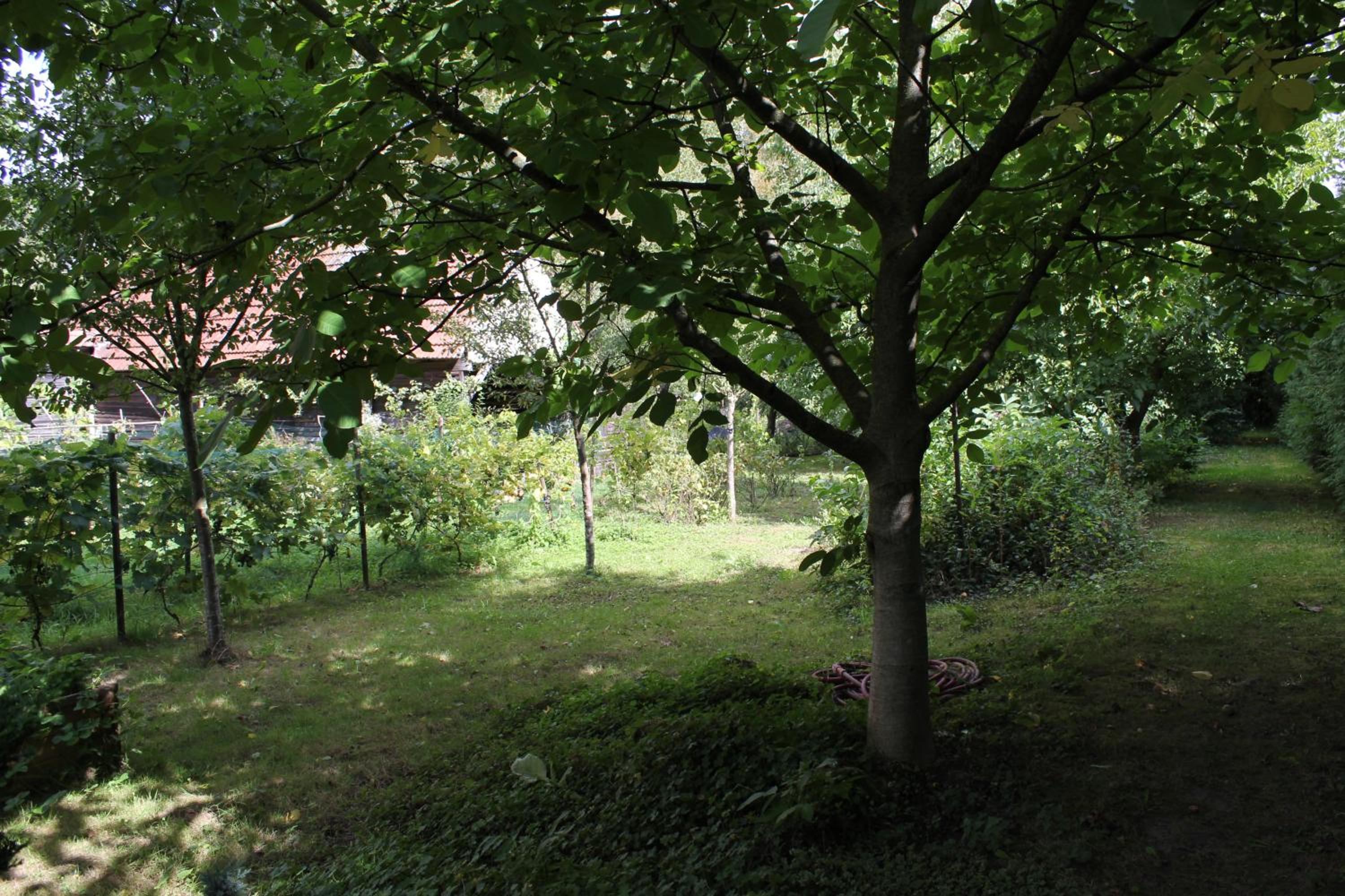 chez salome et fritz