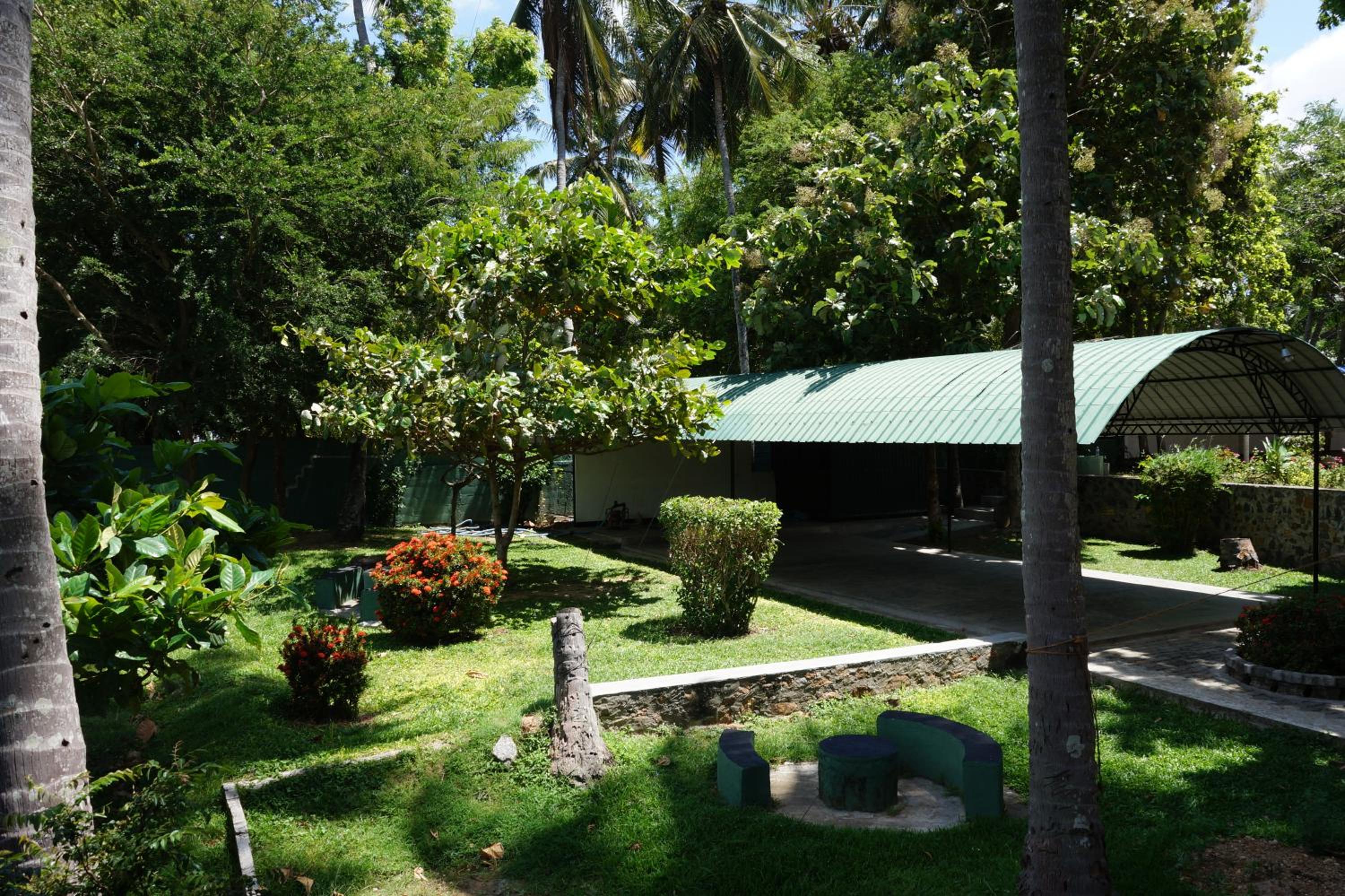 Photo 16