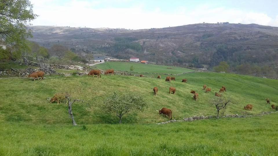 Iteiro Casa Rural