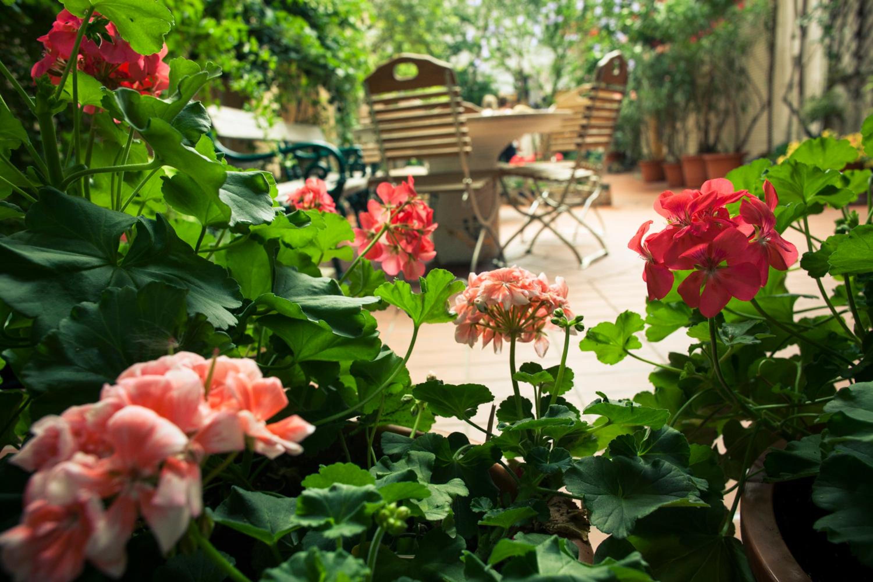 Vienna Hostel Ruthensteiner