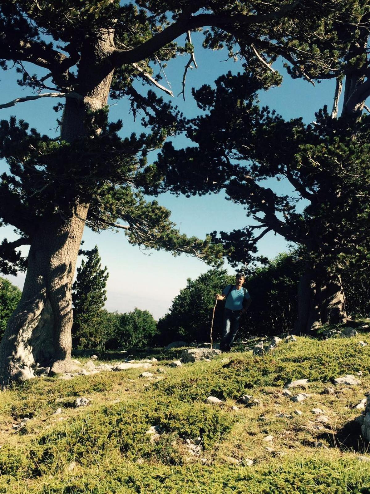 La Stella Del Pollino view 5