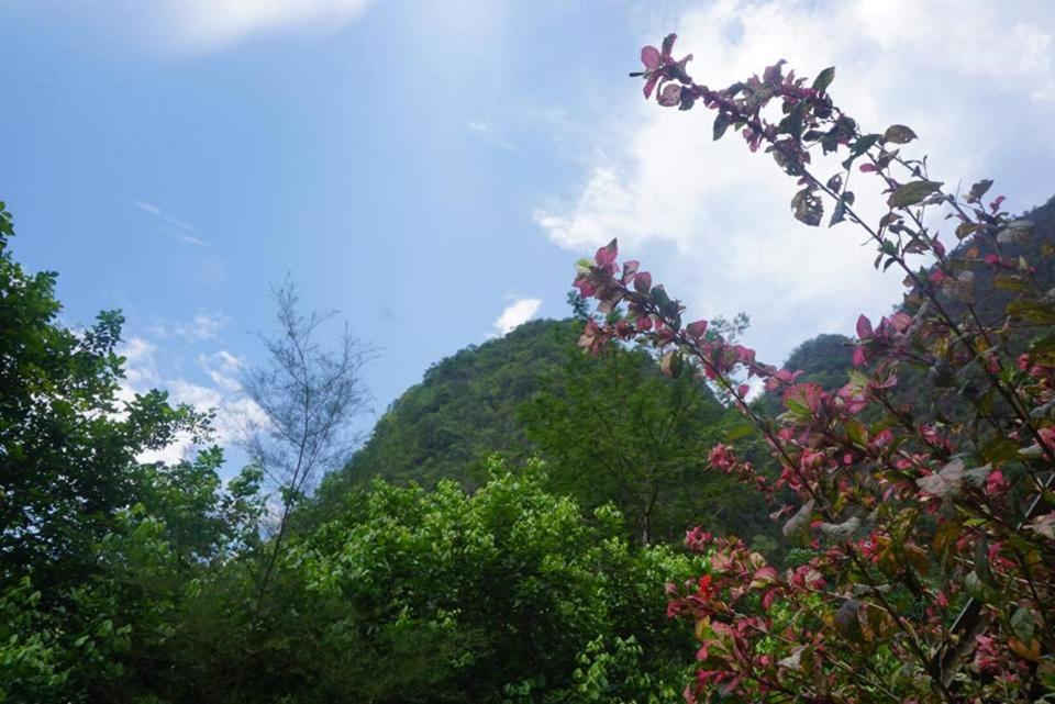 Khao Sok Green Mountain View