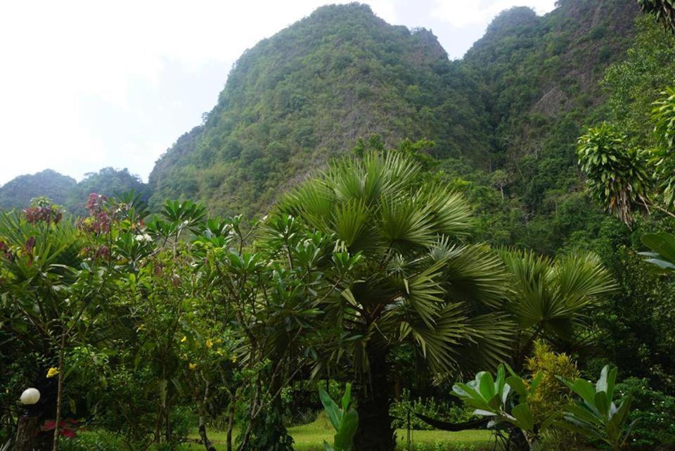 Khao Sok Green Mountain View