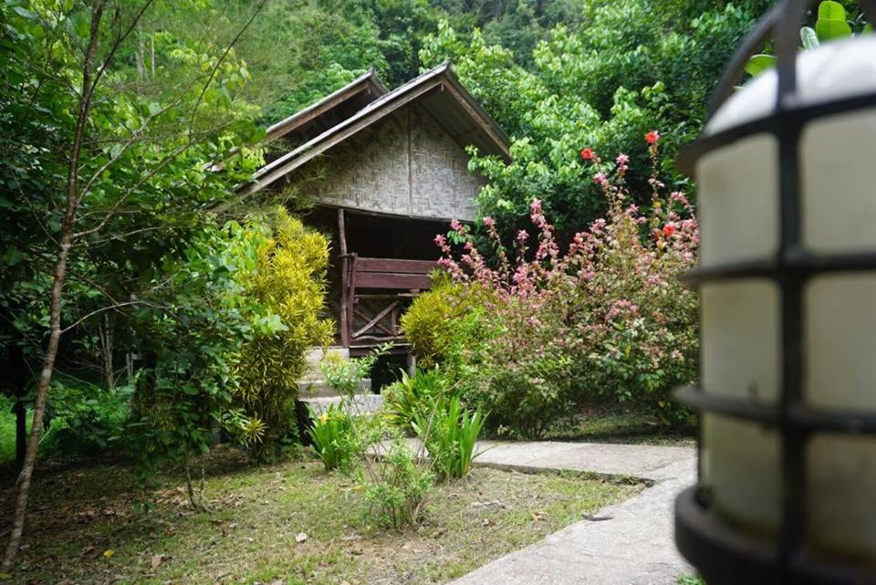 Khao Sok Green Mountain View