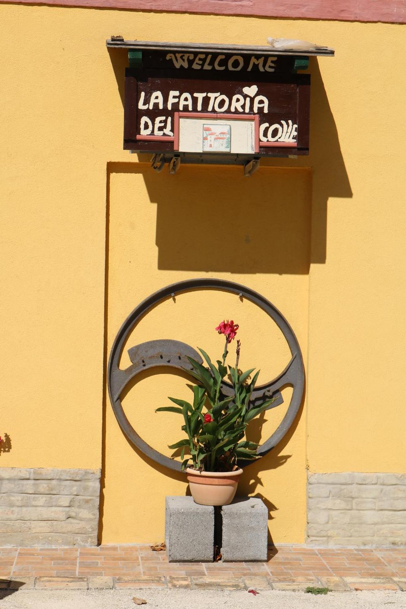 Agriturismo Fattoria del Colle
