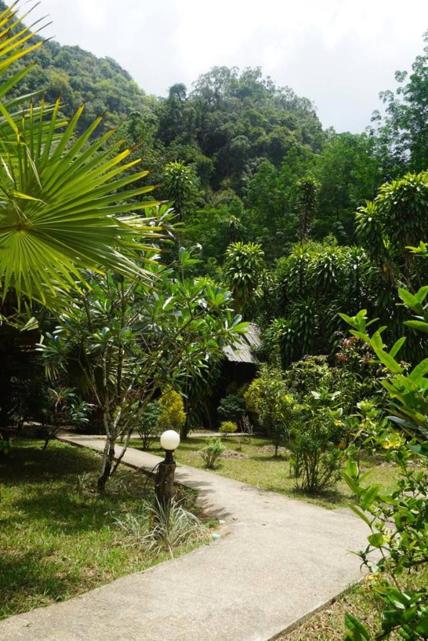 Khao Sok Green Mountain View
