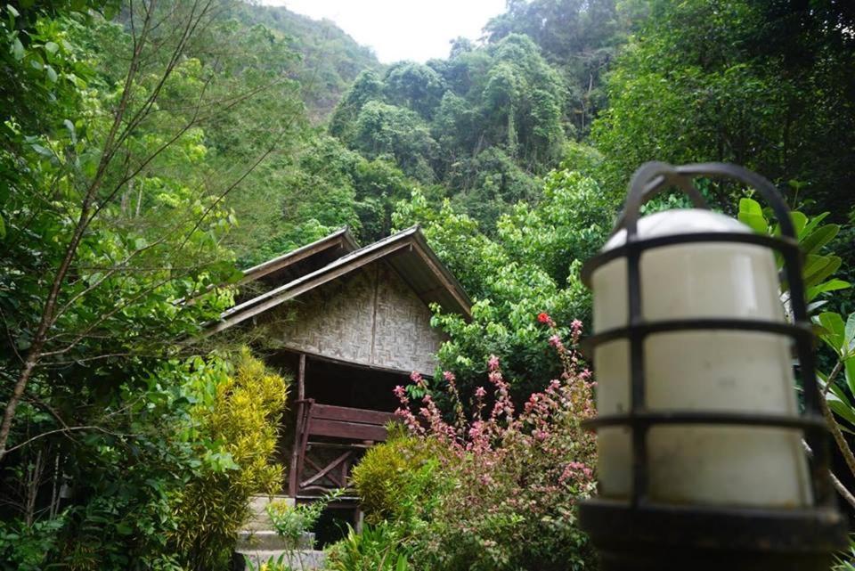 Khao Sok Green Mountain View