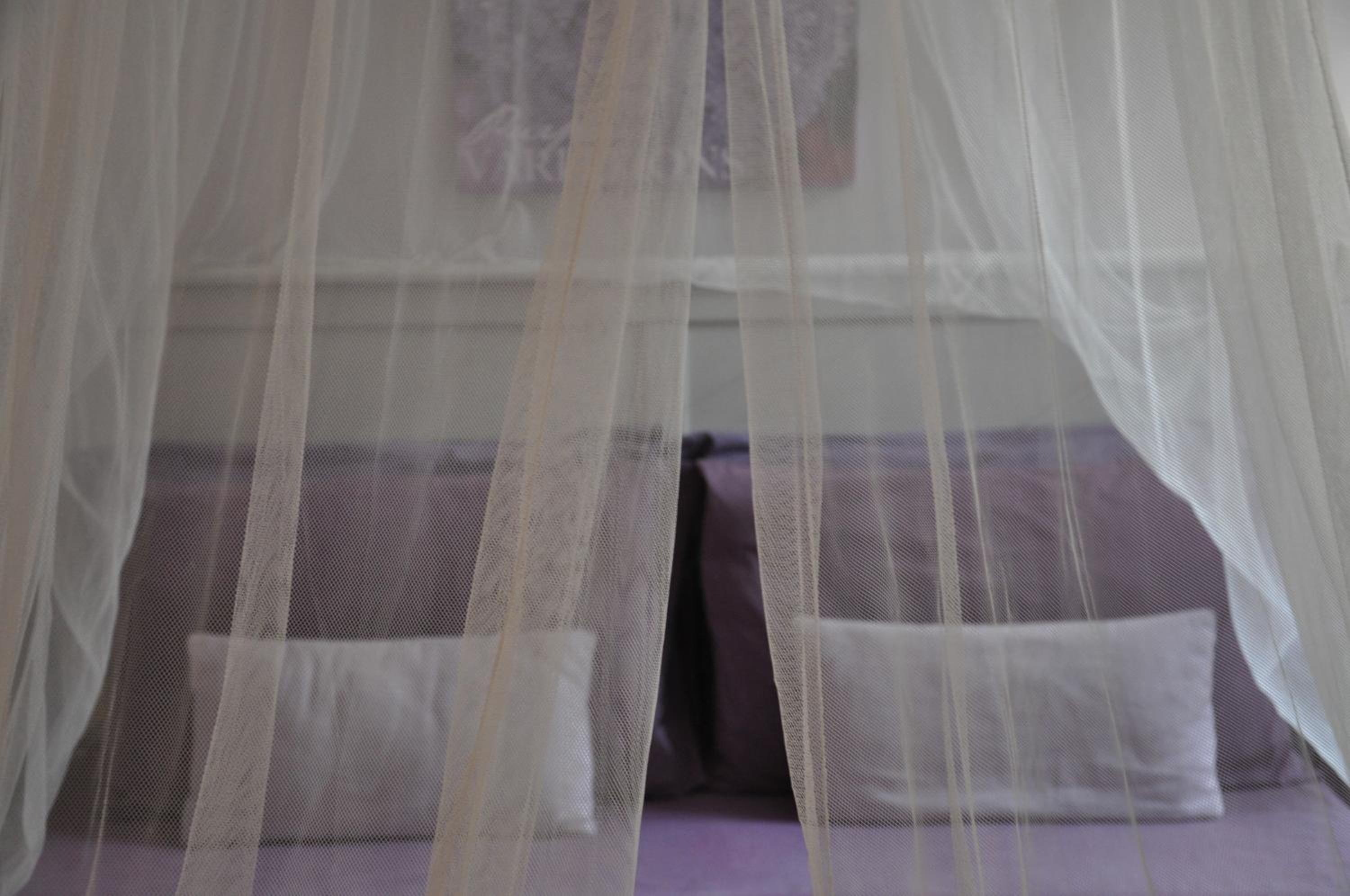B&B Dimora Paolina